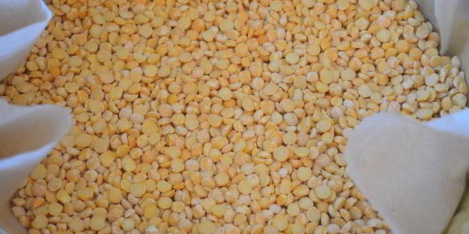 Рецепт ягодного торта-безе