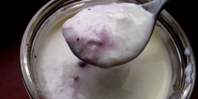 Рецепт домашнего йогурта