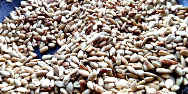 Рецепт домашней армянской халвы