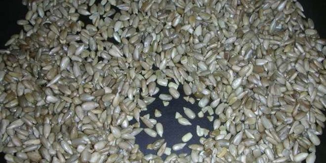 Рецепт халвы домашней из семечек