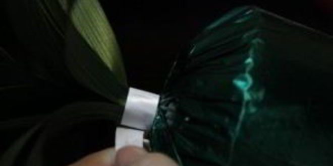 Рецепт ананаса из конфет