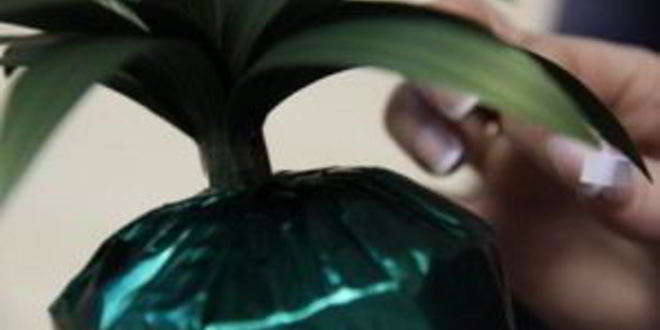 Рецепт ананаса из конфет