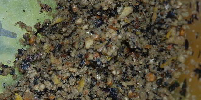 Рецепт конфет с базиликом