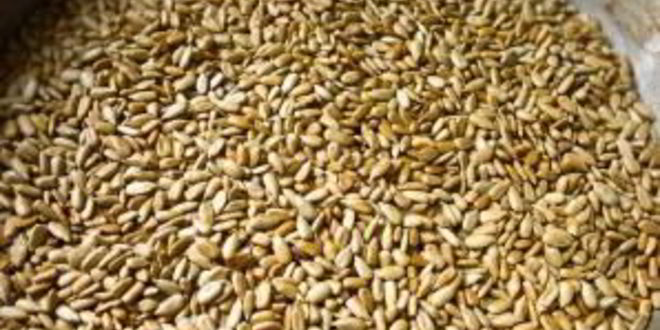 Рецепт козинаков из семечек