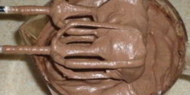 Рецепт крема для шоколадного бисквита