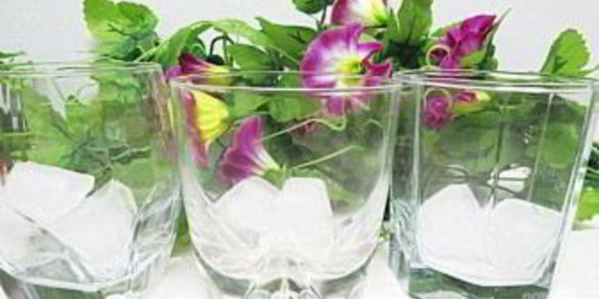 Рецепт крем-соды