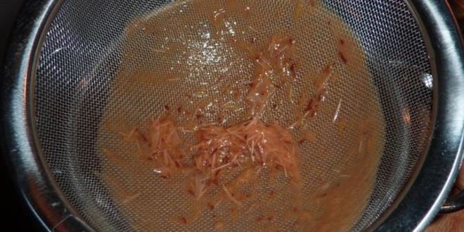 Рецепт мармелада для вупсеня и пупсеня