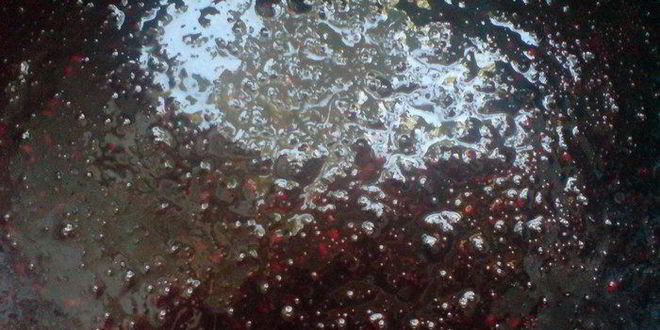 Рецепт мармелада ежевичная отрада