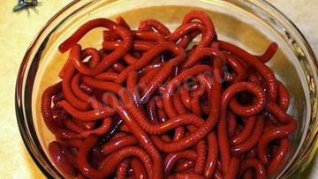 Рецепт Мармеладных червячков