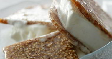 Рецепт Йогуртового мороженого с козинаками