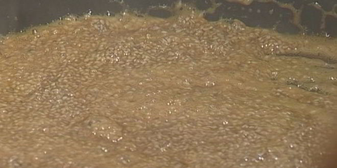 Рецепт йогуртового мороженого с козинаками