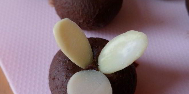 Рецепт мангова-черничного мороженого с конфетами рафаэлло с шоколадными шариками