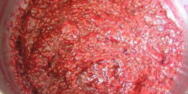 Рецепт торта-мороженого с безе и красными ягодами