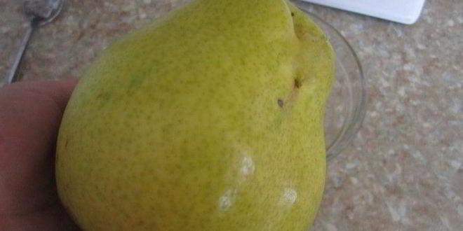 Рецепт конфет с грушово-мятным муссом