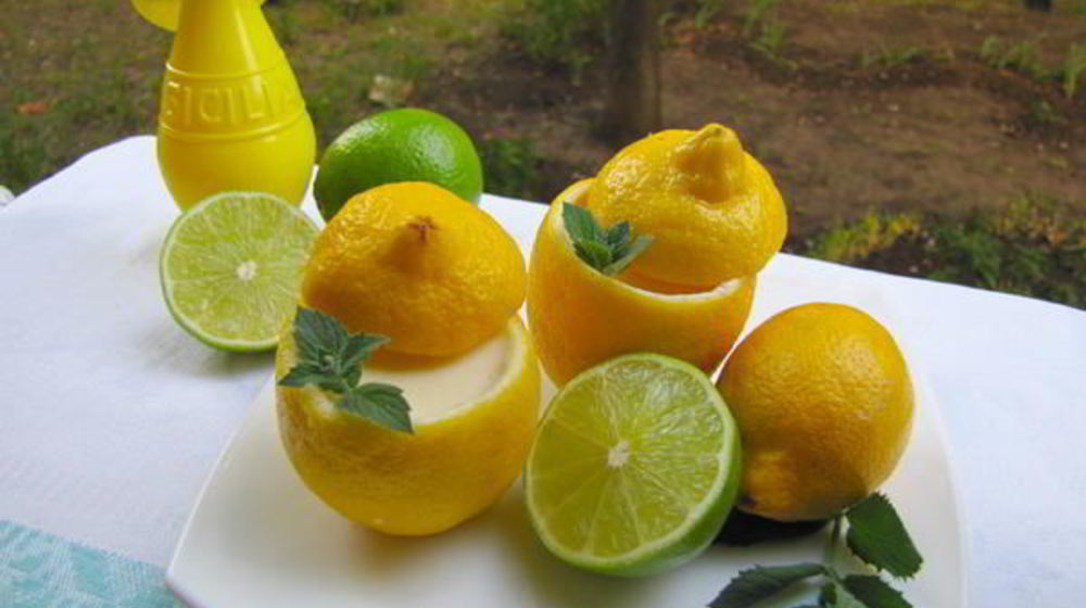 Как приготовить лимонный мусс форчино