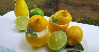 Рецепт Лимонного мусса Форчино