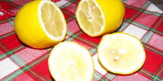 Рецепт лимонного мусса форчино