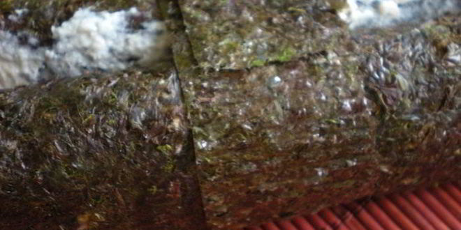 Рецепт рыбного террина с креветочным муссом на подушечке из брокколи