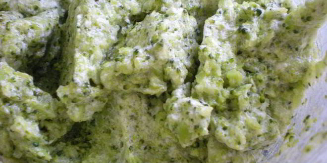 Рецепт рыбного террина с креветочным муссом на подушечке из брокколи