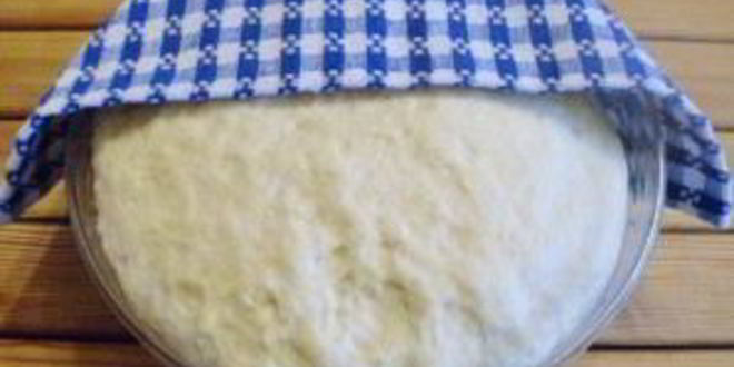 Рецепт кулича на сливках