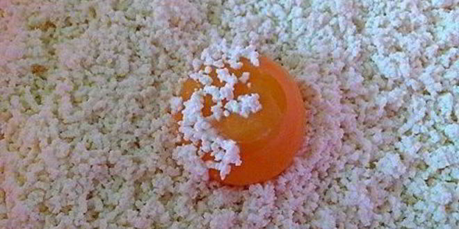 Рецепт медовой пасхи с лимонными финиками