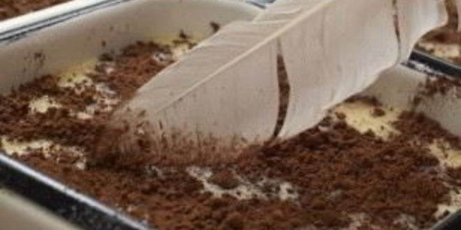 Рецепт пудинга из молока