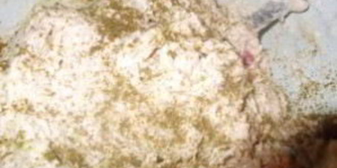 Рецепт суфле из курицы с сыром