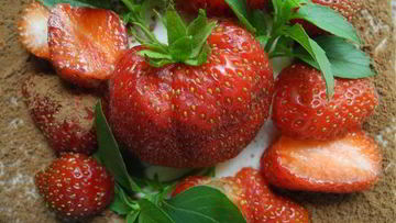 Рецепт Фантазий на тему Тирамису