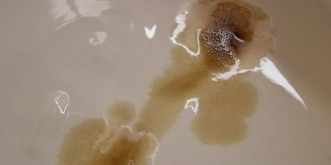 Рецепт брусничного зефира с малиновым соусом