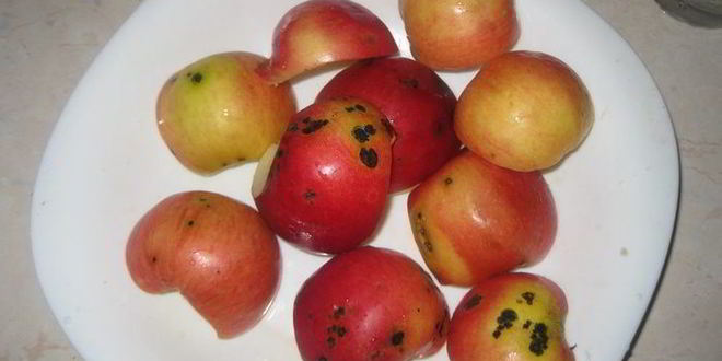 Рецепт зефира по госту