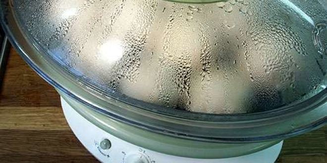 Рецепт фрикаделек из индейки