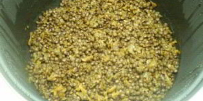 Рецепт гарнира из чечевицы