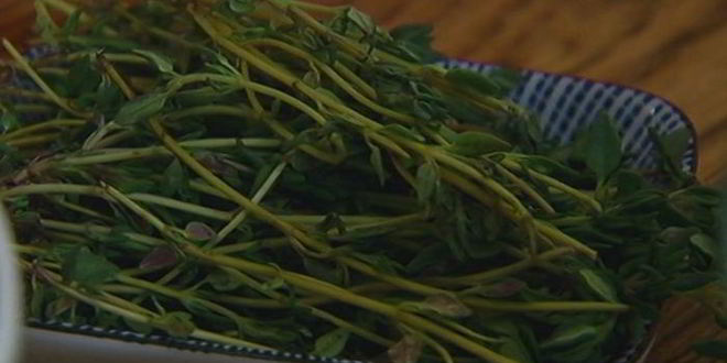 Рецепт чечевицы с травами и беконом