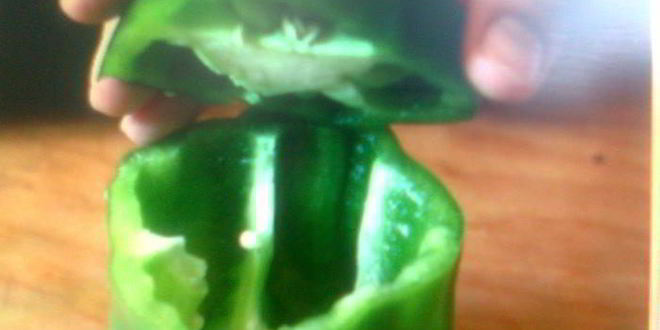 Рецепт долмы три сестры