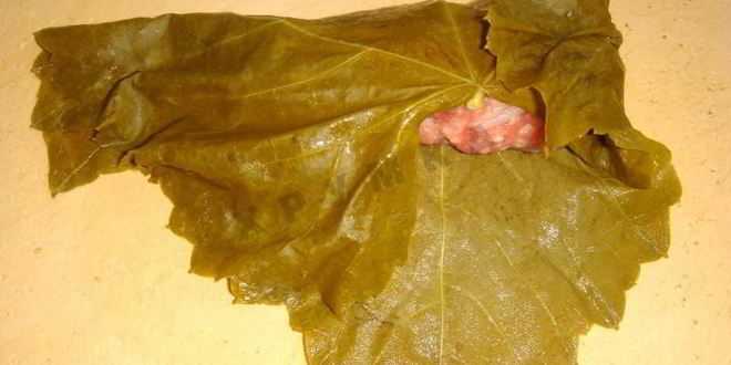 Рецепт долмы в мультиварке