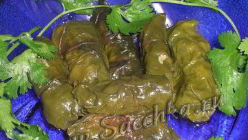 Рецепт Долмы