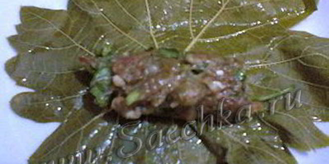 Рецепт долмы