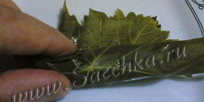 Рецепт долмы