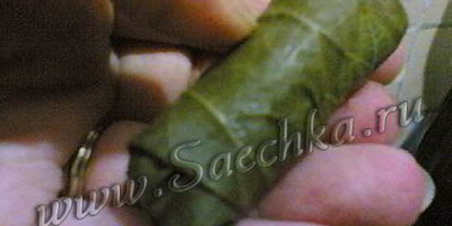 Рецепт долмы