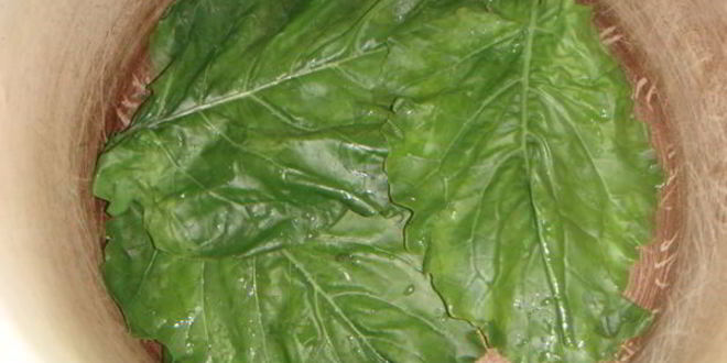 Рецепт голубцов в лахане с двумя соусами