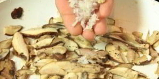 Рецепт белых грибов жареных