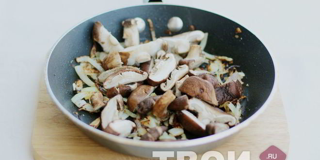 Рецепт грибов в сметане