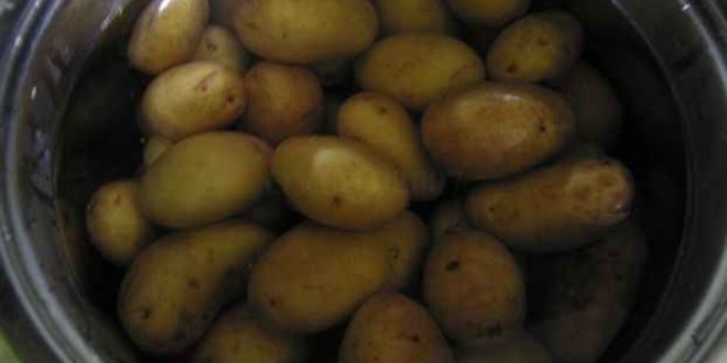 Рецепт лисичек жареных с картофелем