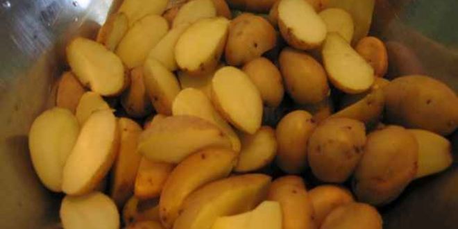 Рецепт лисичек жареных с картофелем