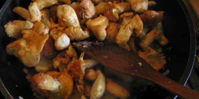 Рецепт лисичек жареных с картофелем