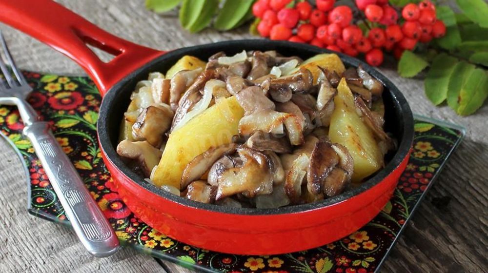 Как приготовить маслята жареные с картошкой