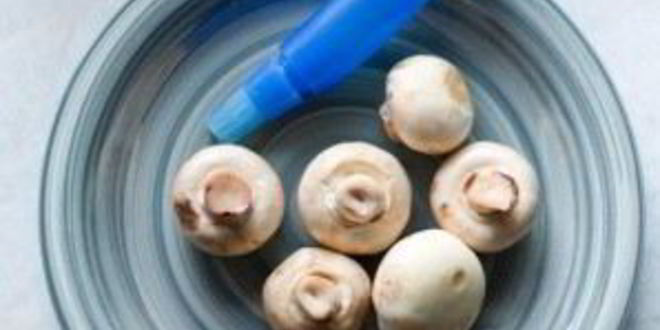 Рецепт шампиньонов на углях