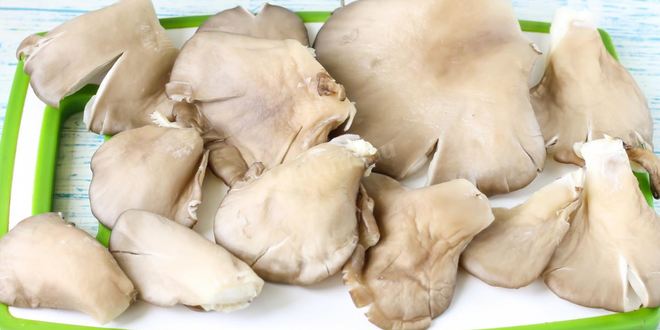 Рецепт вешенок в духовке