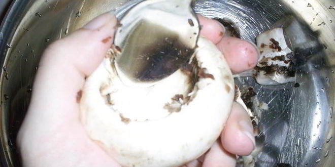 Рецепт закусочных фаршированных шампиньонов