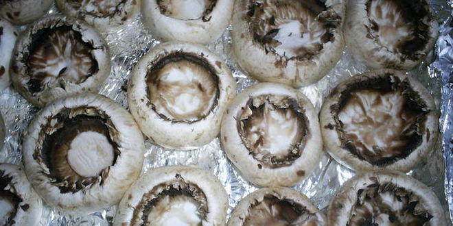 Рецепт закусочных фаршированных шампиньонов